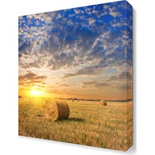 Dekor Sevgisi Tarla ve Güneş Manzarası Canvas Tablo  45x30 cm