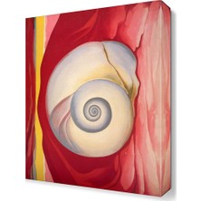 Dekor Sevgisi Kabuklu Canvas Tablo  45x30 cm