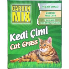 Garden Mix Kedi Çimi Büyük