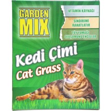 Garden Mix Kedi Çimi Büyük