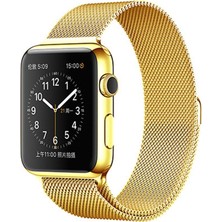 Ally Apple Watch Uyumlu 42Mm Metal Kayış Milano Loop