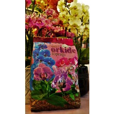 Arıcılar Ziraat Orkide Toprağı (2 Litre)