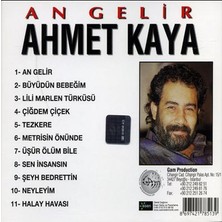 Ahmet Kaya An Gelir ( CD )