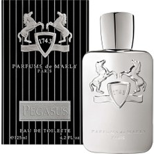 Parfums De Marly Pegasus EDP 125 ML Erkek Parfüm