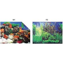 Kw Zone Pls.Poster 48 Cm 15 Mt