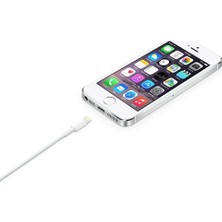 OEM Lightning (2m) USB Kablo