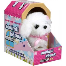 Sunman Sevimli Köpek Maltese