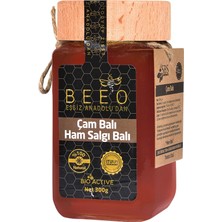 Bee' o  Çam Balı 300 gr