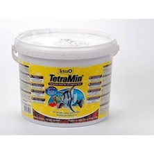 Tetra Min Flakes Pul Balık Yemi 500Gr