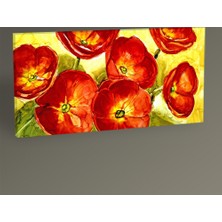 Tablo 360 Primule Tablo 80x40