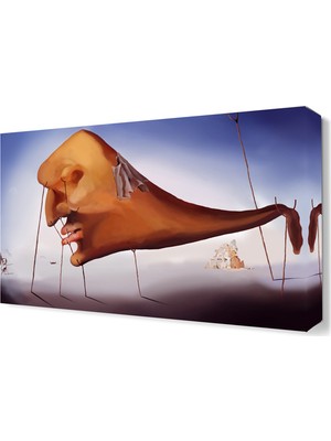 Dekor Sevgisi Yüz Canvas Tablo  45x30 cm