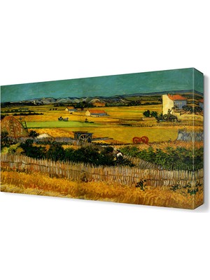 Dekor Sevgisi Tarla Canvas Tablo  45x30 cm
