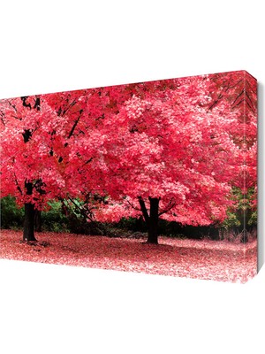 Dekor Sevgisi Pembe Ağaçlar Canvas Tablo  45x30 cm
