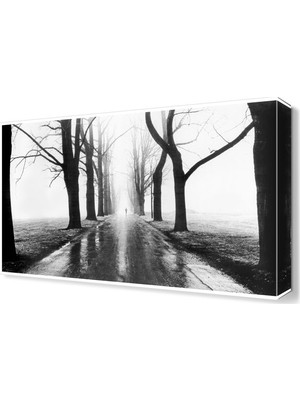 Dekor Sevgisi Bilinmez Tablo Canvas Tablo  45x30 cm