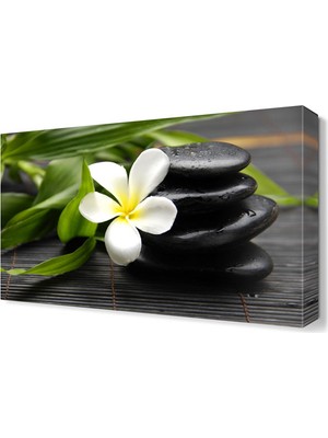 Dekor Sevgisi Masaj Taşı ve Çiçek Canvas Tablo  45x30 cm