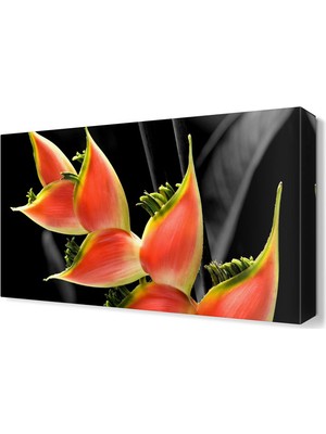 Dekor Sevgisi Farklı Çiçek Canvas Tablo  45x30 cm