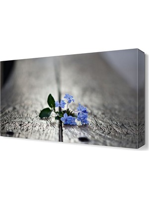 Dekor Sevgisi Banktaki Küçük Çiçek Canvas Tablo  45x30 cm