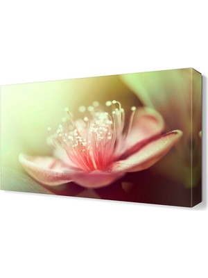 Dekor Sevgisi Pembe Çiçek2 Tablo  45x30 cm