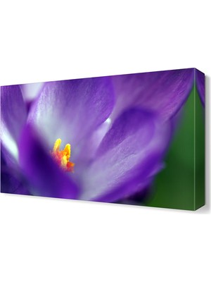 Dekor Sevgisi Mor Çiçek Tablosu 45x30 cm
