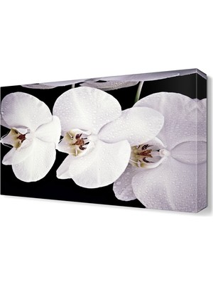 Dekor Sevgisi Beyaz Çiçekler Tablosu 45x30 cm