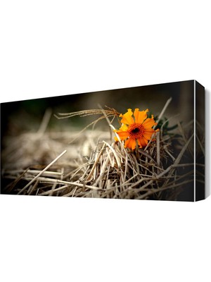Dekor Sevgisi Nostalji Çiçek Canvas Tablo  45x30 cm
