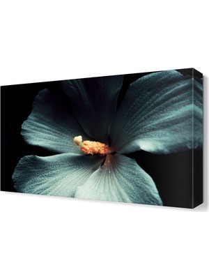 Dekor Sevgisi Beyaz Lale Tablosu 45x30 cm