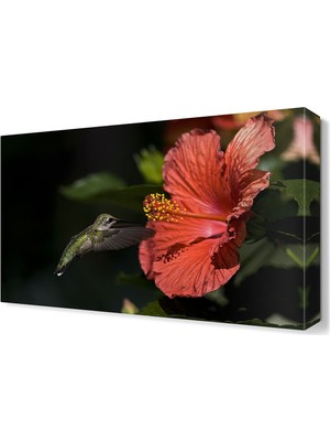 Dekor Sevgisi Kuş ve Çiçek 45x30 cm