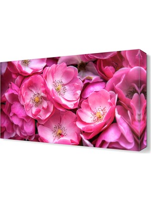 Dekor Sevgisi Pembe Çiçek Tablosu  45x30 cm