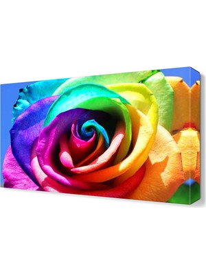 Dekor Sevgisi Gökkuşağı Renginde Gül Tablosu 45x30 cm
