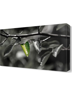 Dekor Sevgisi Son Yaprak Tablosu 60x40 cm