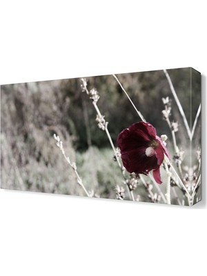 Dekor Sevgisi Siyah Beyaz Gelincik Tablosu 45x30 cm