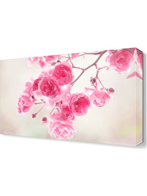 Dekor Sevgisi Pembe Güller Tablosu 60x40 cm