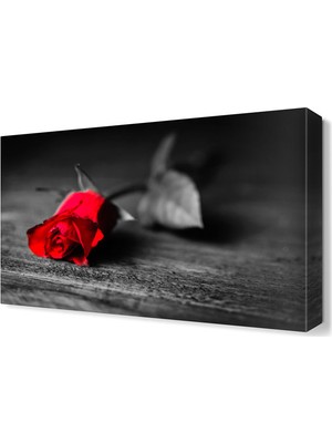 Dekor Sevgisi Yanlız Gül Tablosu 45x30 cm