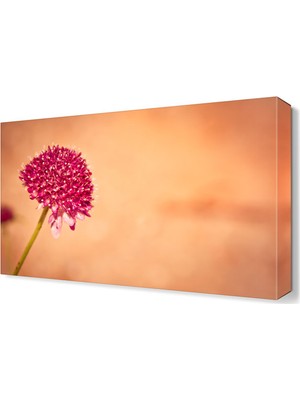 Dekor Sevgisi Karahindiba4 Tablosu 45x30 cm