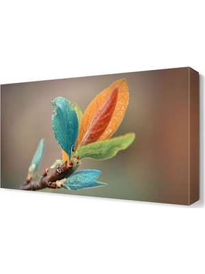 Dekor Sevgisi Renkli Yapraklar Tablosu 45x30 cm