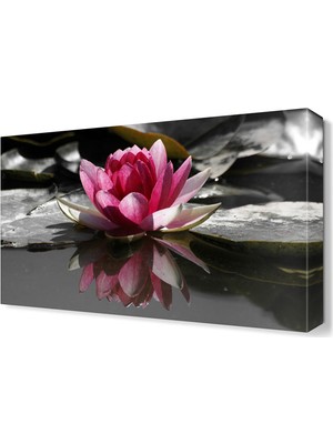 Dekor Sevgisi Sudaki Çiçek Tablosu 45x30 cm