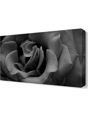 Dekor Sevgisi Karagül Tablosu 45x30 cm