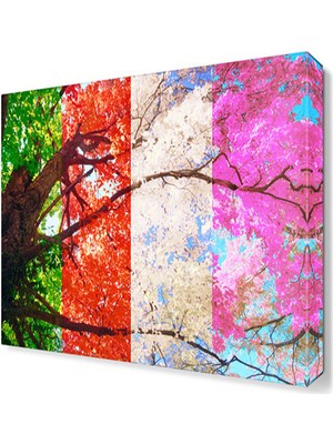 Dekor Sevgisi Dört Renk Gökyüzü Tablosu 45x30 cm