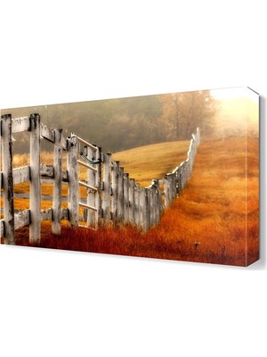 Dekor Sevgisi Çitler Tablosu 45x30 cm