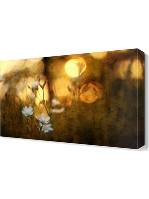 Dekor Sevgisi Dekoratif Papatyalar Tablosu 45x30 cm