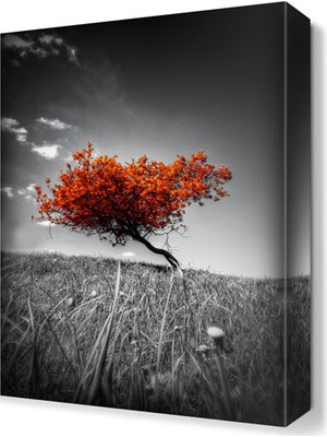 Dekor Sevgisi Turuncu Ağaç Tablosu 45x30 cm