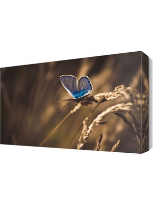 Dekor Sevgisi Mavi Kelebek Canvas Tablo  45x30 cm