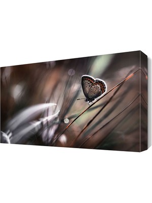 Dekor Sevgisi Benekli Kelebek Canvas Tablo  45x30 cm