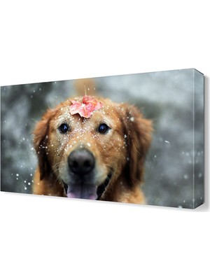 Dekor Sevgisi Şirin Köpek Tablosu 45x30 cm