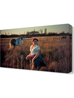 Dekor Sevgisi Tarladaki At Tablosu 45x30 cm
