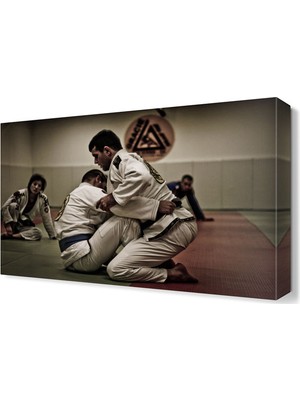 Dekor Sevgisi Jiu Jitsu Tablosu 45x30 cm