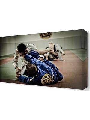 Dekor Sevgisi Ju Jitsu Tablosu 45x30 cm