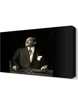 Dekor Sevgisi Atatürk3 Tablosu 45x30 cm