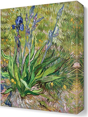 Dekor Sevgisi Yer Çiçeği Tablosu 45x30 cm