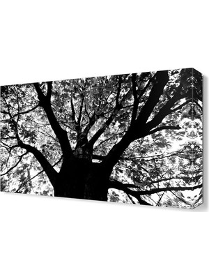 Dekor Sevgisi Siyah Beyaz Dekoratif Tablo 45x30 cm